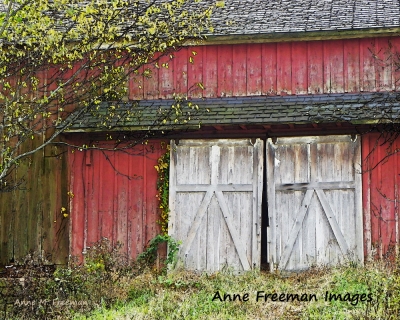 Ann Freeman Images: Gray Barn Doors No 2